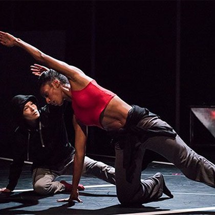 <em>A Letter to My Nephew</em><br>
Bill T. Jones / Arnie Zane Dance Company
